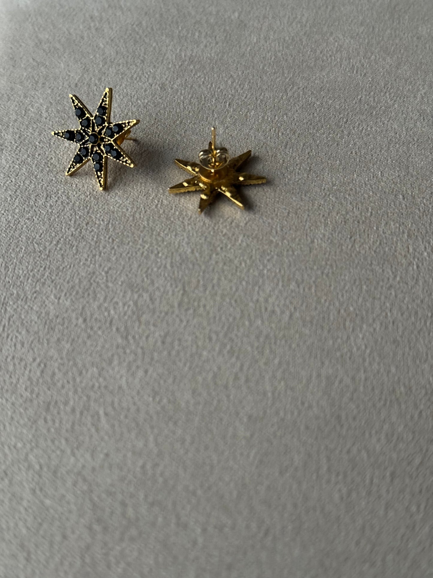 Pendientes Raíces Estrella Desmontable